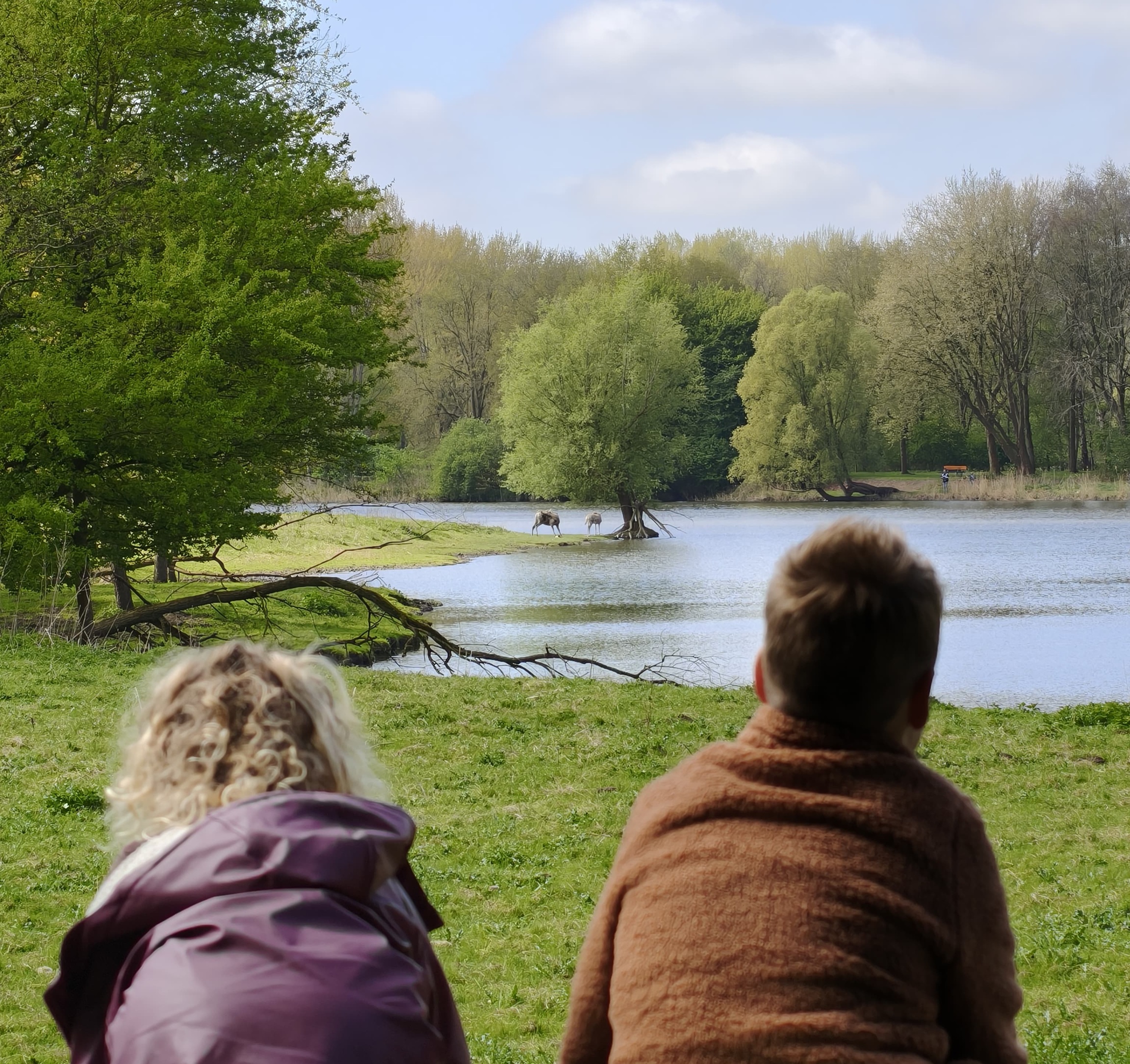 Het Natuurlijk