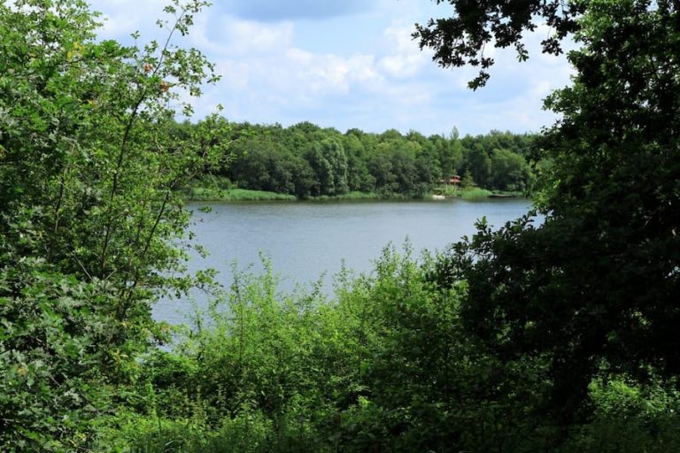 Boswachterspad Kuinderbos