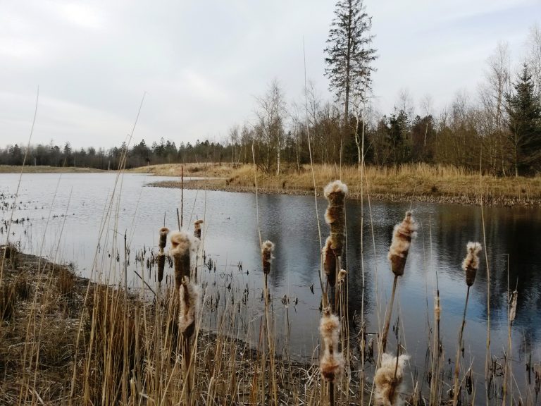 Burchtroute