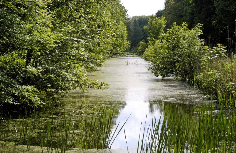 Route Rondje Kraggenburg, Vollenhove, St. Jansklooster