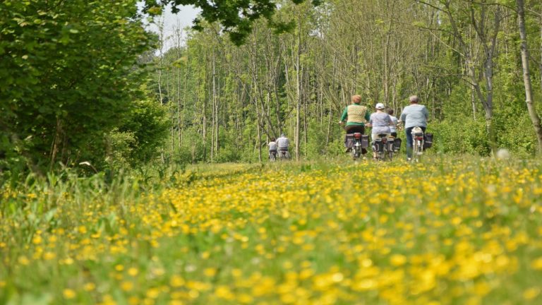 Fietsroute Jonge Bossen in Flevoland
