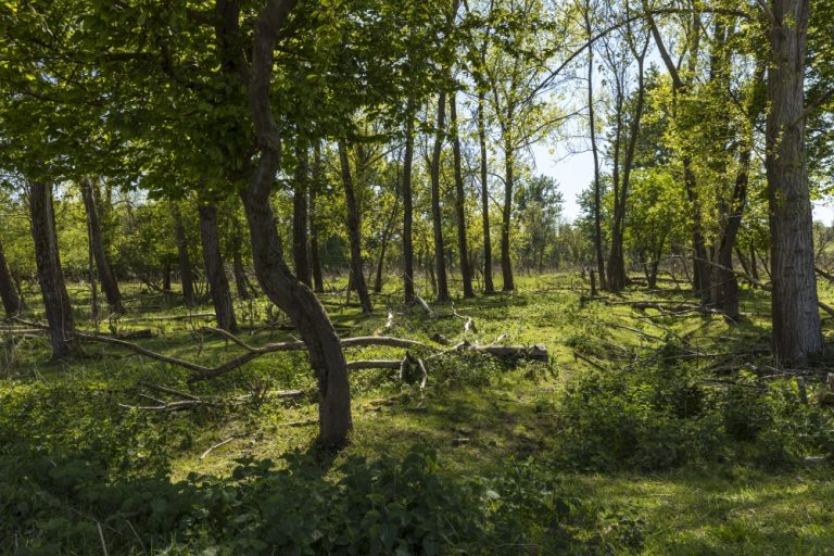 De Almeerse Natuurroute