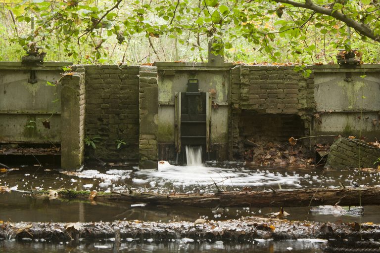 Havenroute Waterloopbos