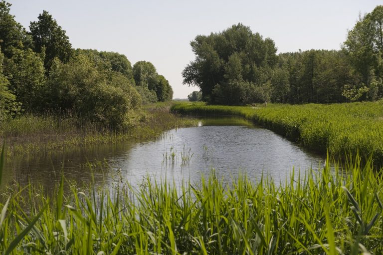 Polderroute Biddinghuizen