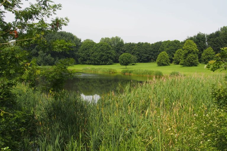Wandelroute Educatiepad Wisentbos
