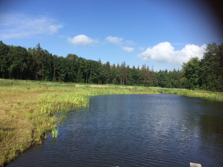 Stienteroute Voorsterbos