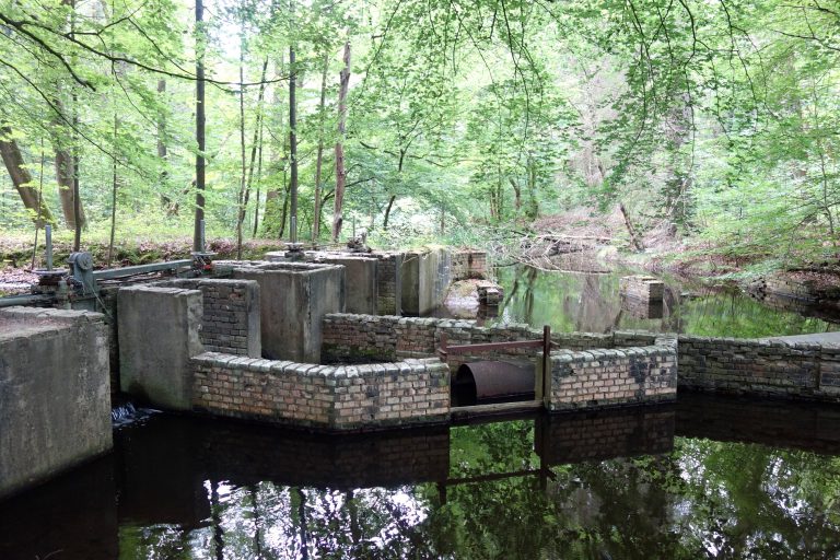 Wandelroute Waterloopbos