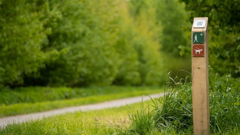 Wandelroute Boom tot bos Horsterwold