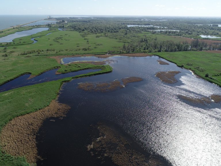 Rondje Lepelaarplassen