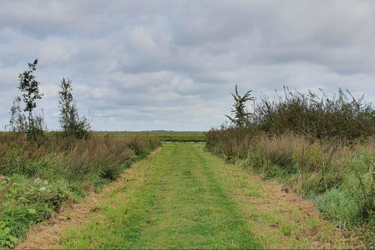 Wandelroute De Nootroute