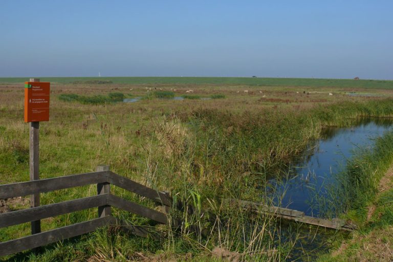 Wandelroute Roggebotveldpad