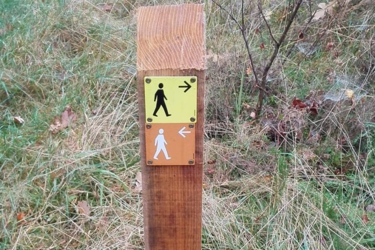 Wandelroute Natuurpad Wisentbos
