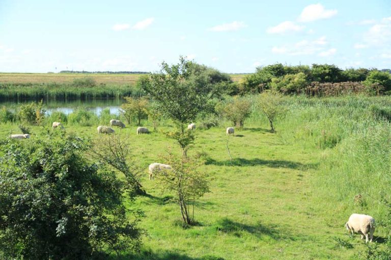 Wandelroute Rietzangerpad