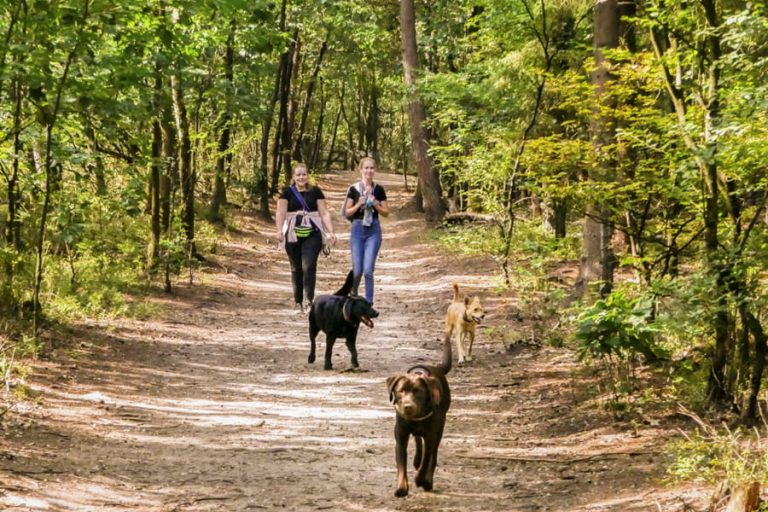 Wandelroute Natte Neuzen