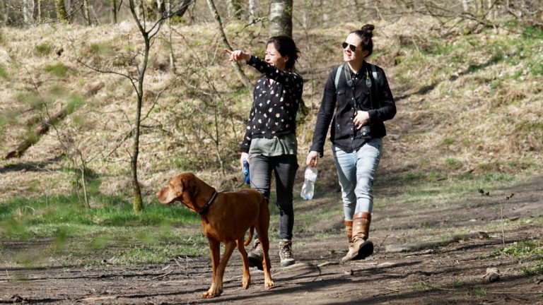 Natuurwandeling Swifterbos