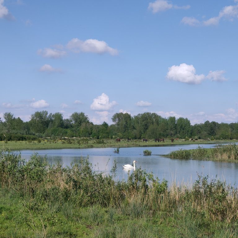 Struin- en wandelroute Strandgaperbeek