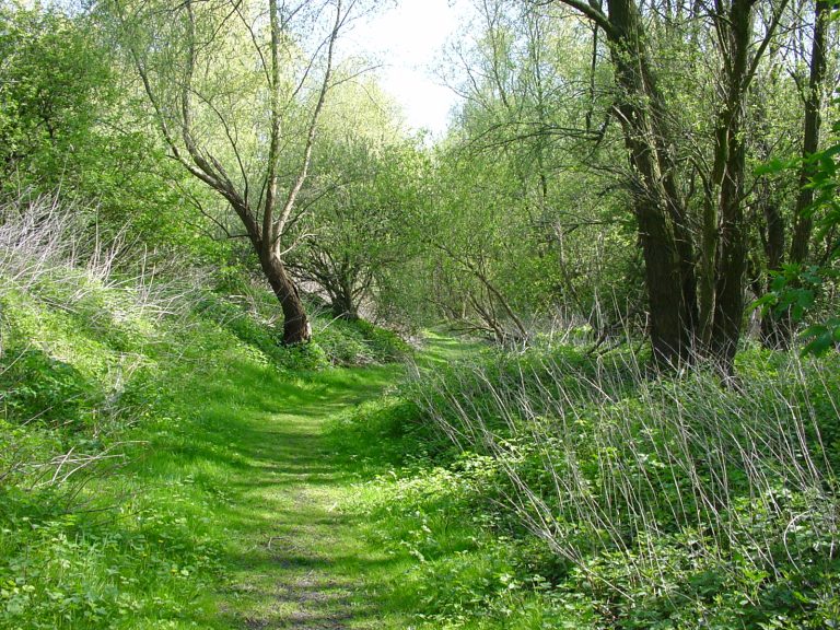 Oerbosroute in het Wilgenbos