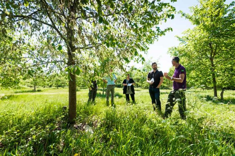 Wandelroute Genenbank